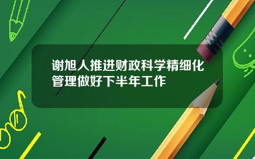 谢旭人推进财政科学精细化管理做好下半年工作