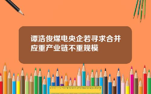 谭浩俊煤电央企若寻求合并应重产业链不重规模