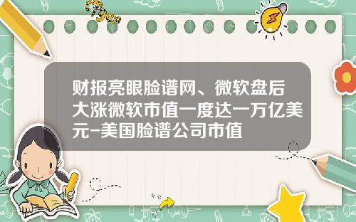 财报亮眼脸谱网、微软盘后大涨微软市值一度达一万亿美元-美国脸谱公司市值