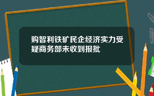 购智利铁矿民企经济实力受疑商务部未收到报批