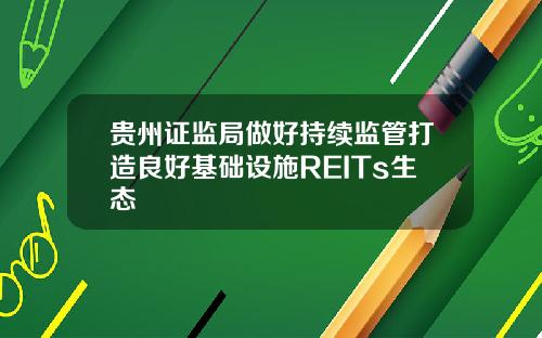 贵州证监局做好持续监管打造良好基础设施REITs生态