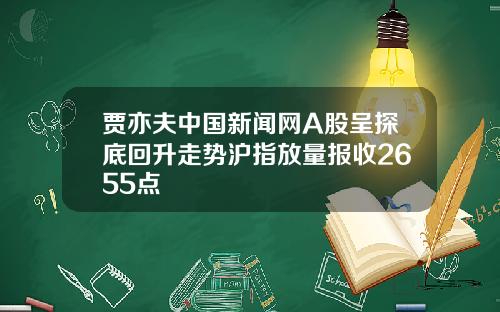贾亦夫中国新闻网A股呈探底回升走势沪指放量报收2655点