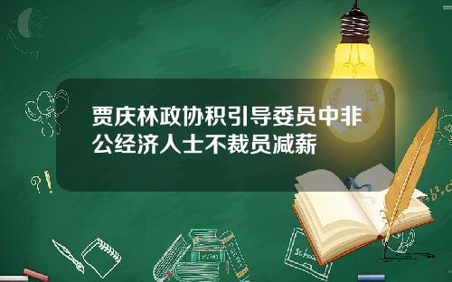 贾庆林政协积引导委员中非公经济人士不裁员减薪