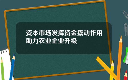 资本市场发挥资金撬动作用助力农业企业升级