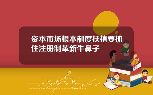 资本市场根本制度扶植要抓住注册制革新牛鼻子