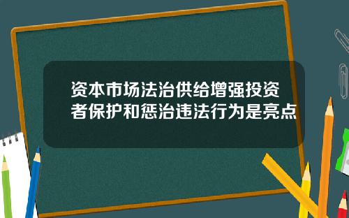 资本市场法治供给增强投资者保护和惩治违法行为是亮点