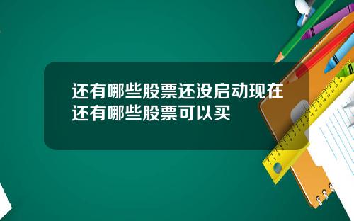 还有哪些股票还没启动现在还有哪些股票可以买