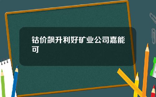 钴价飙升利好矿业公司嘉能可