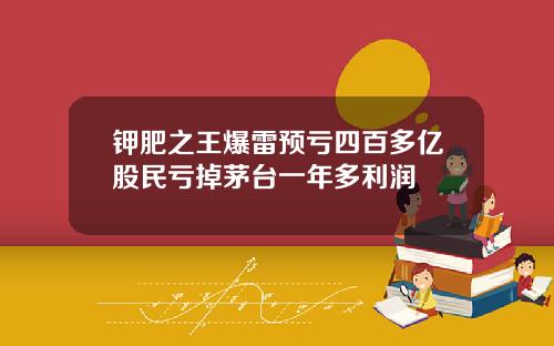 钾肥之王爆雷预亏四百多亿股民亏掉茅台一年多利润