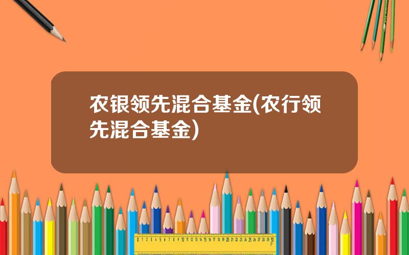 农银领先混合基金(农行领先混合基金)