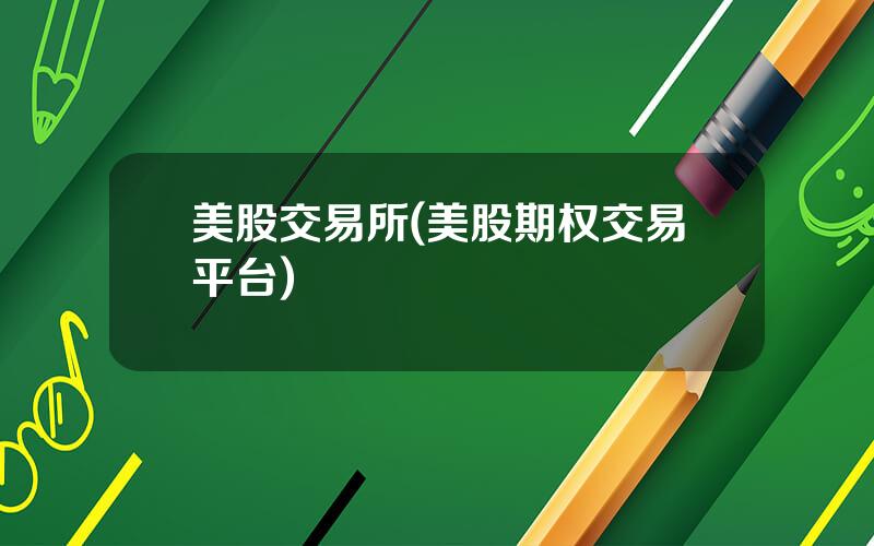 美股交易所(美股期权交易平台)
