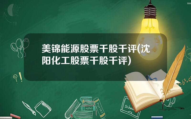 美锦能源股票千股千评(沈阳化工股票千股千评)
