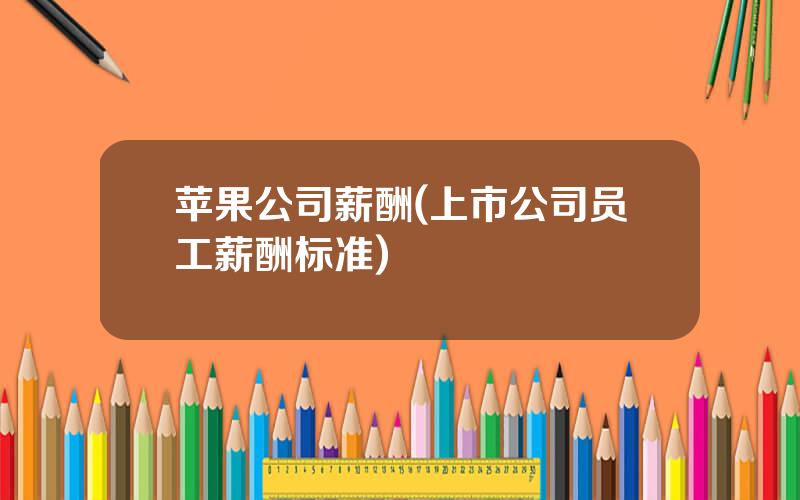 苹果公司薪酬(上市公司员工薪酬标准)