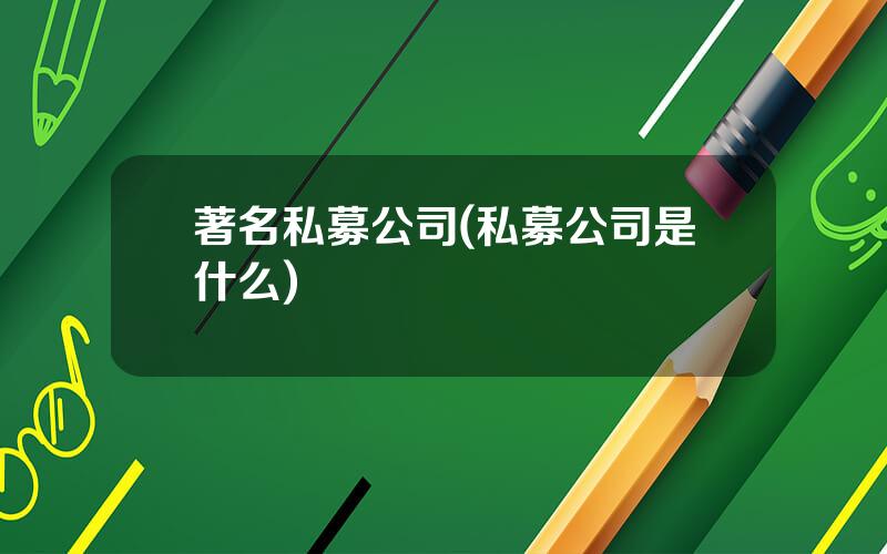 著名私募公司(私募公司是什么)