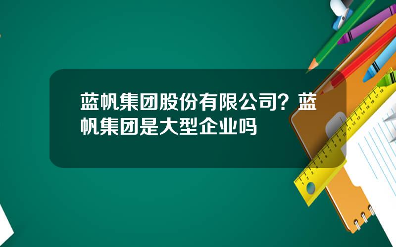 蓝帆集团股份有限公司？蓝帆集团是大型企业吗