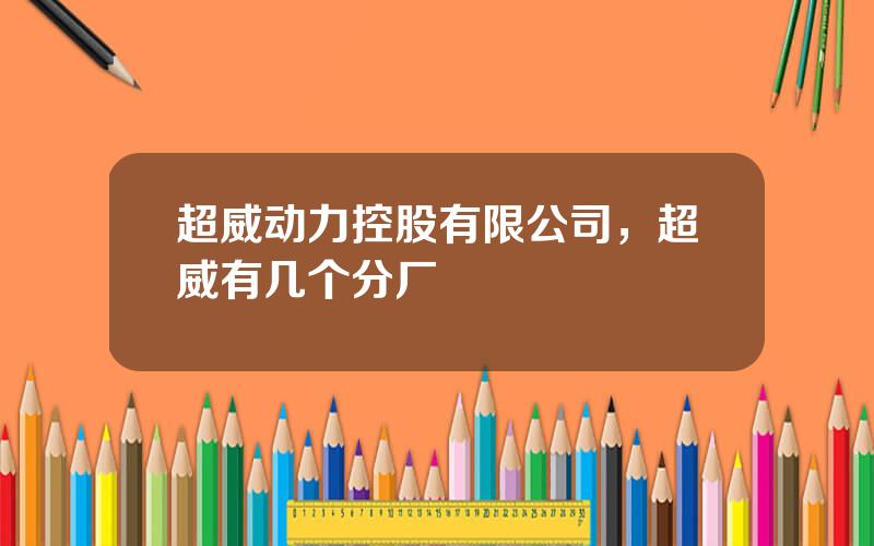 超威动力控股有限公司，超威有几个分厂