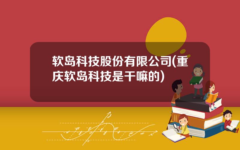 软岛科技股份有限公司(重庆软岛科技是干嘛的)