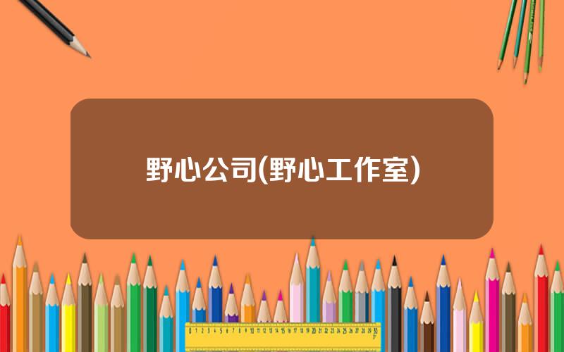 野心公司(野心工作室)