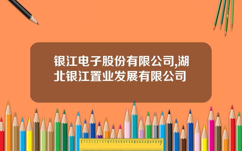 银江电子股份有限公司,湖北银江置业发展有限公司