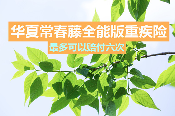 华夏常春藤全能版重疾险怎么样？好不好？华夏常春藤保险靠谱吗